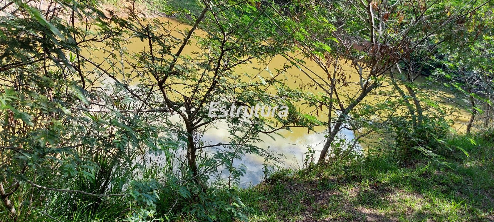 img28408252