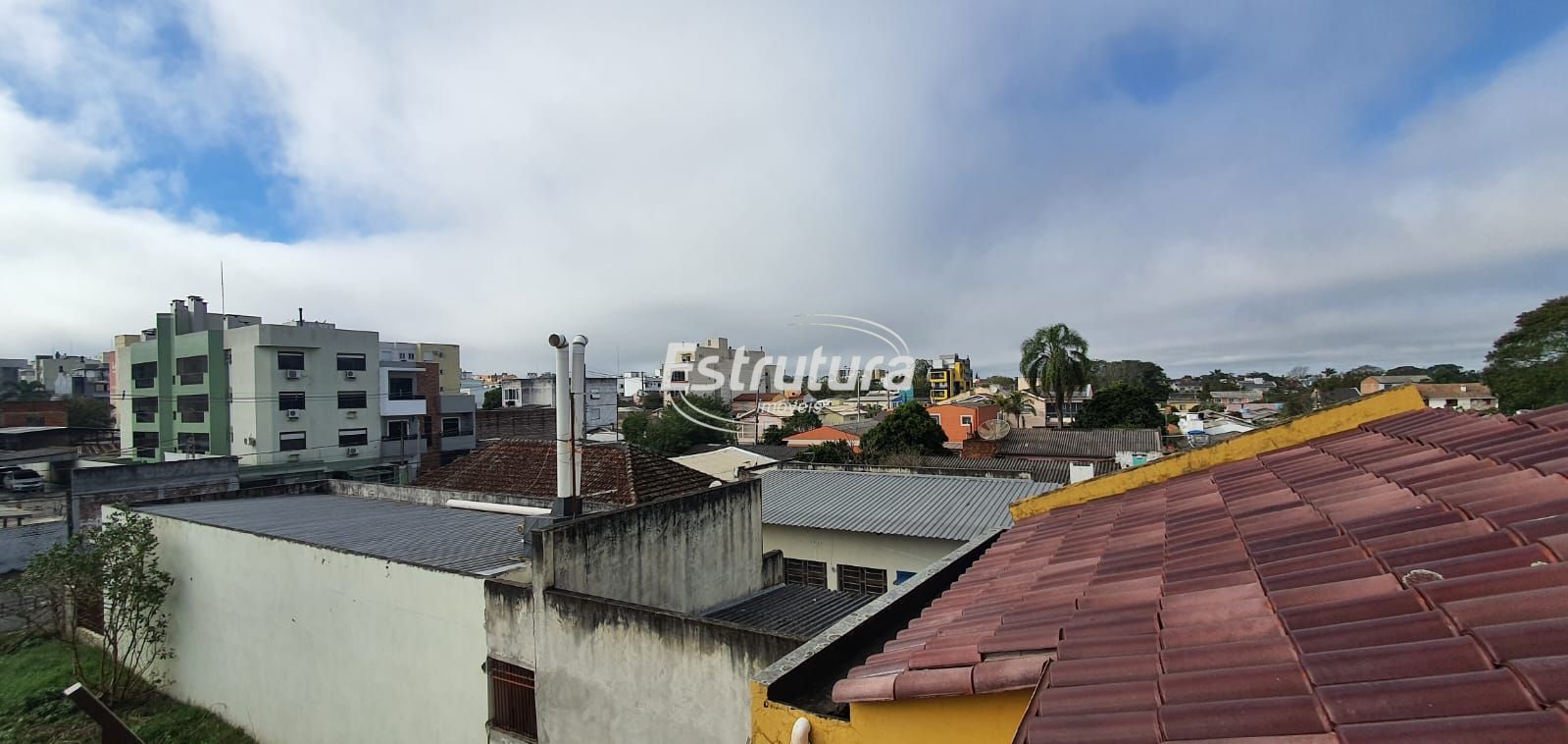 img21863241