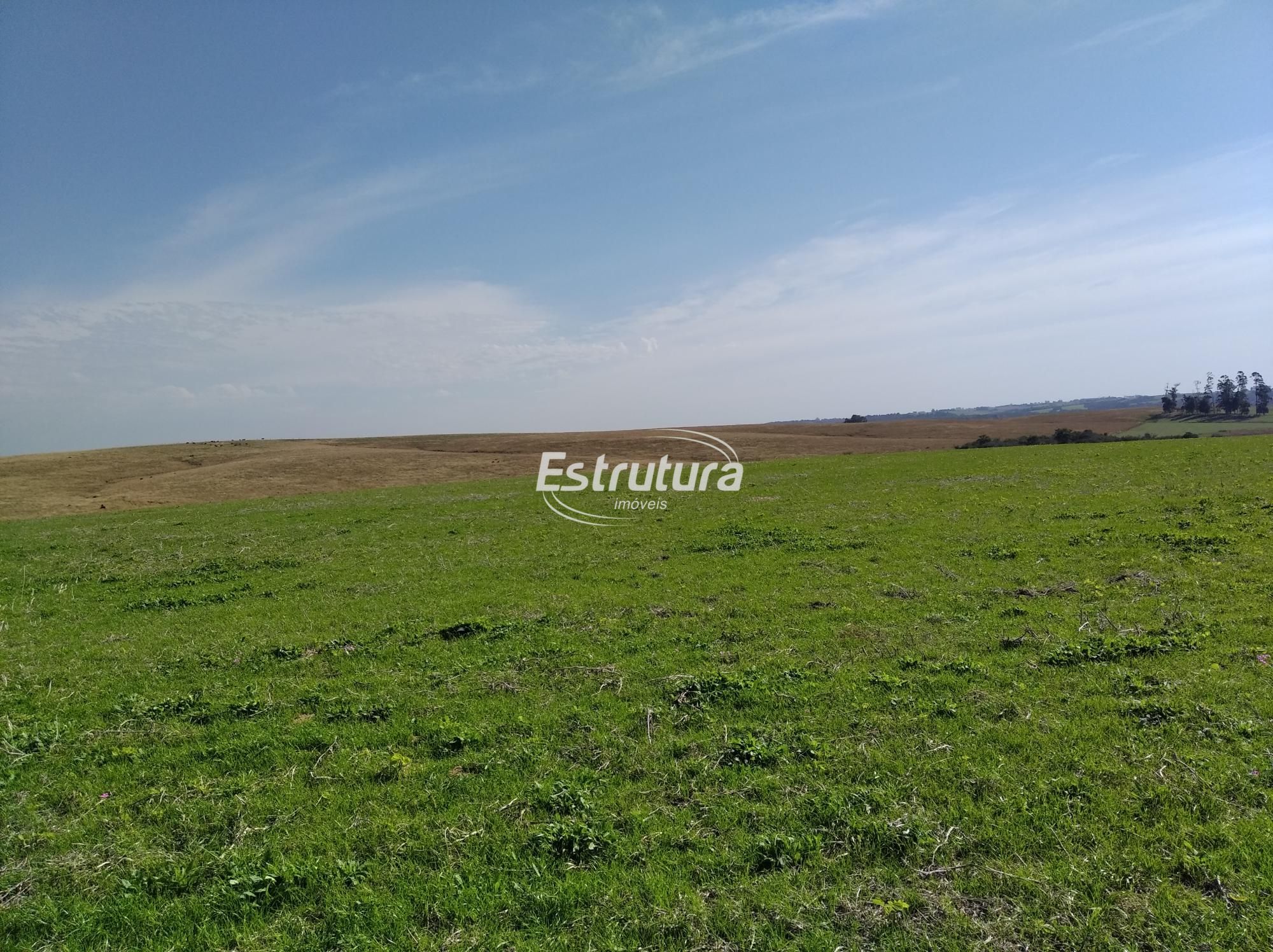 img11854585