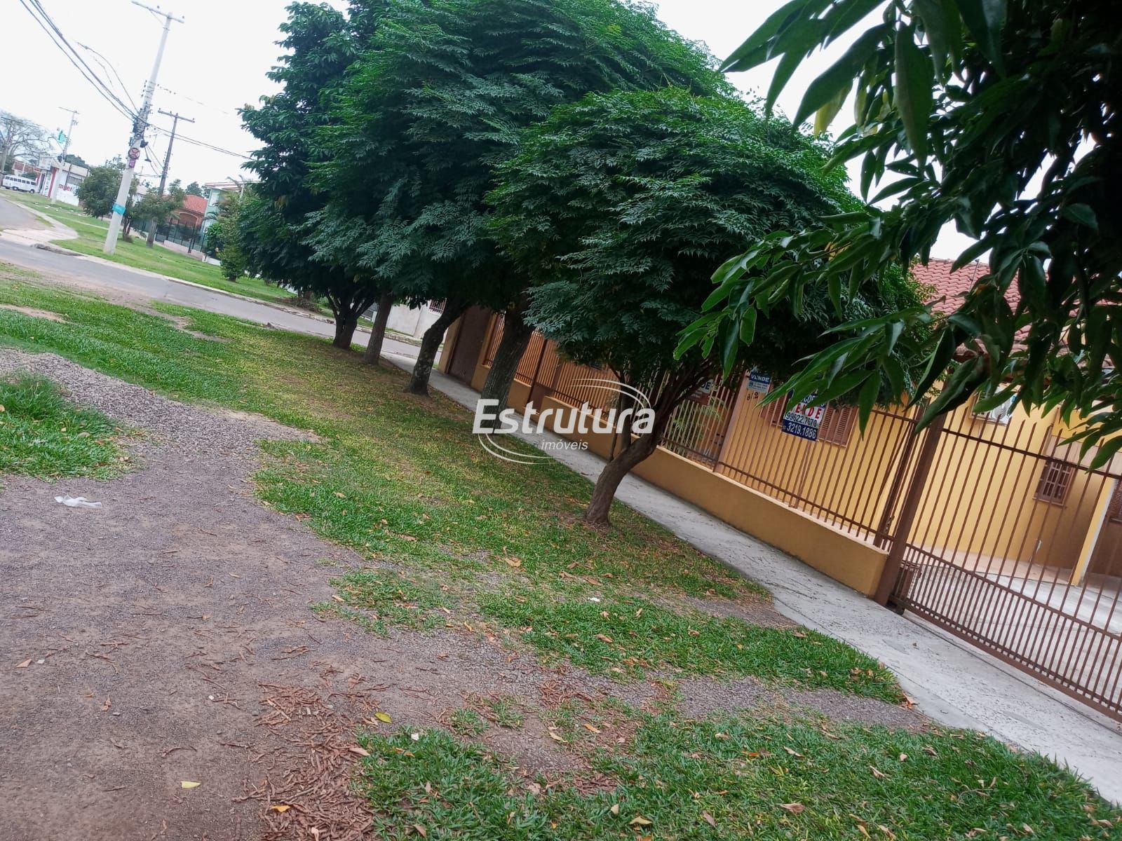 img28358449