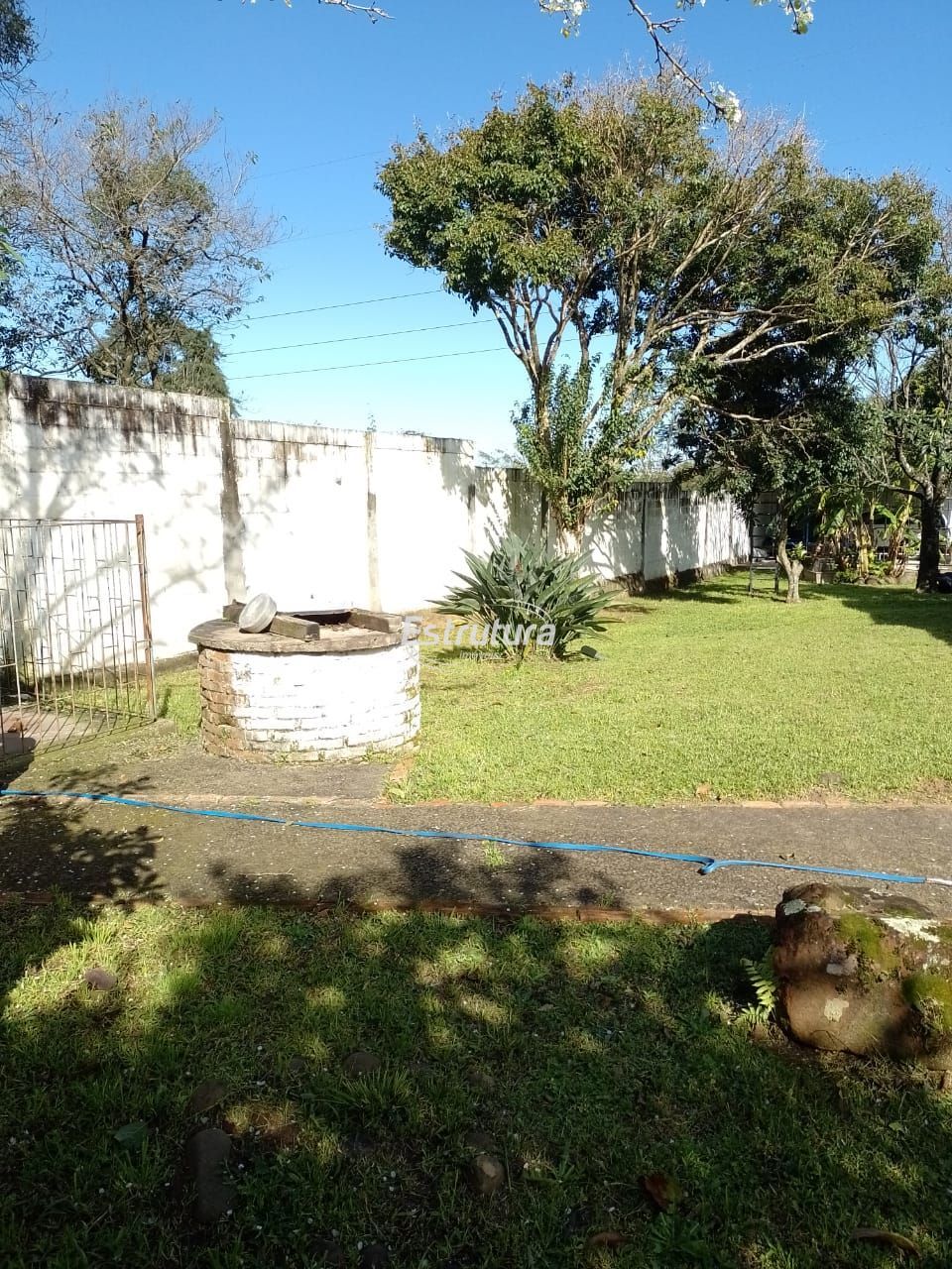 img22936384