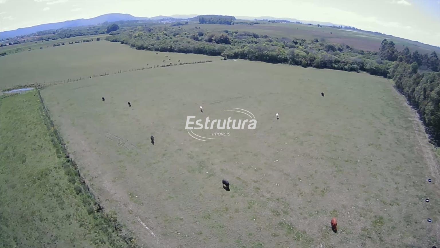 Fazenda/sítio/chácara/haras à venda  no Pains - Santa Maria, RS. Imóveis