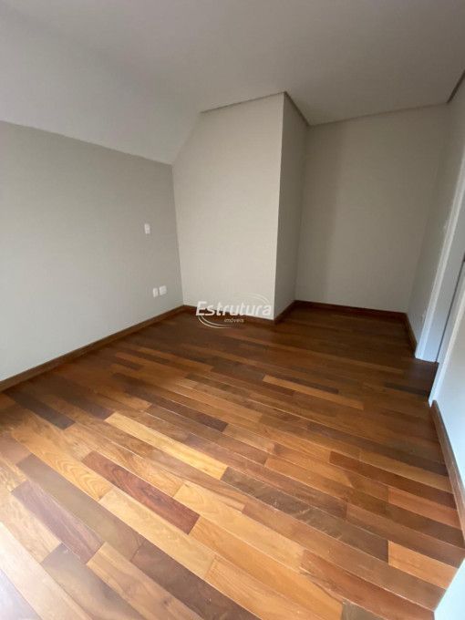 img19716364