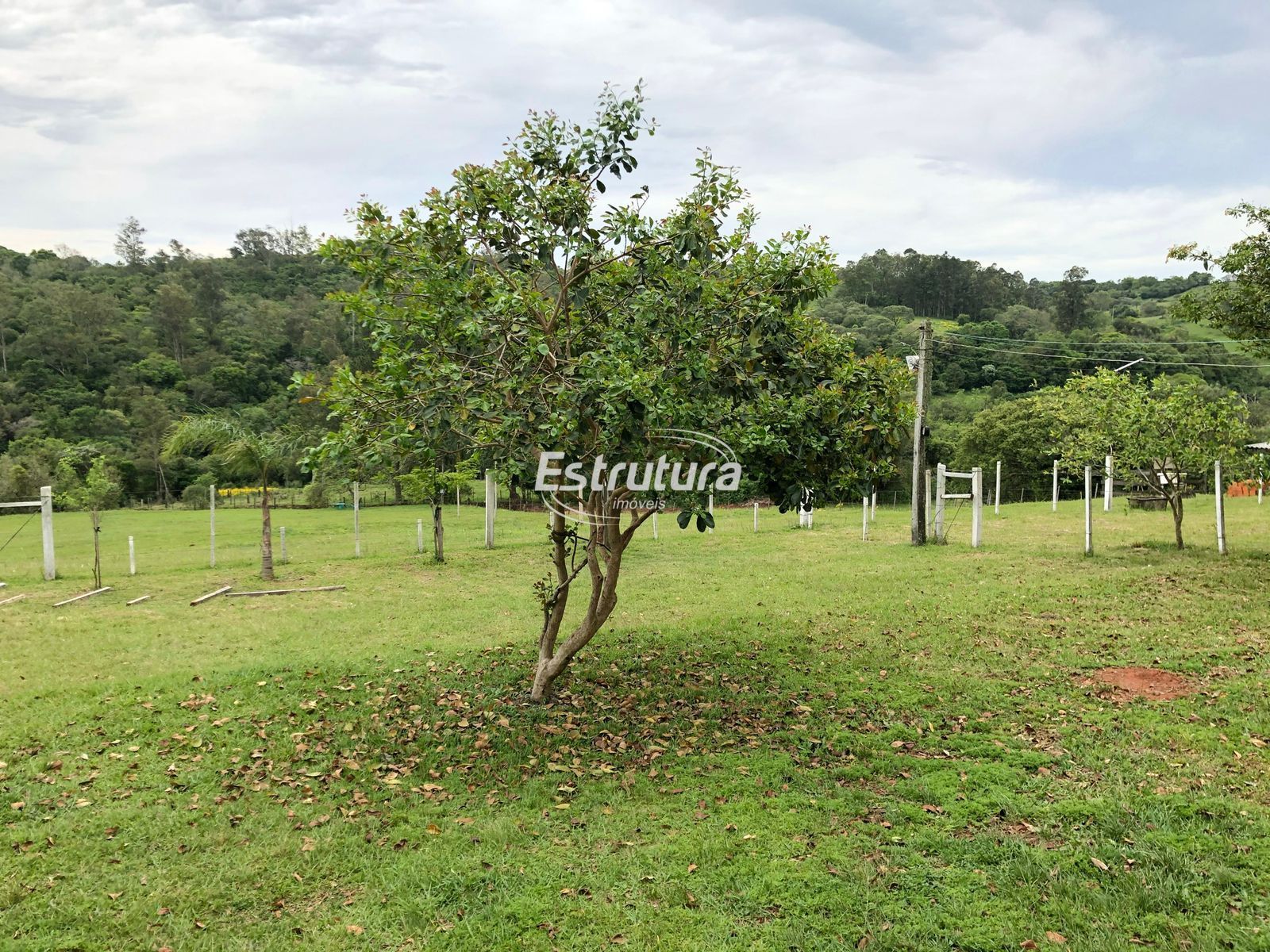 Fazenda/stio/chcara/haras  venda  no Boca do Monte - Santa Maria, RS. Imveis