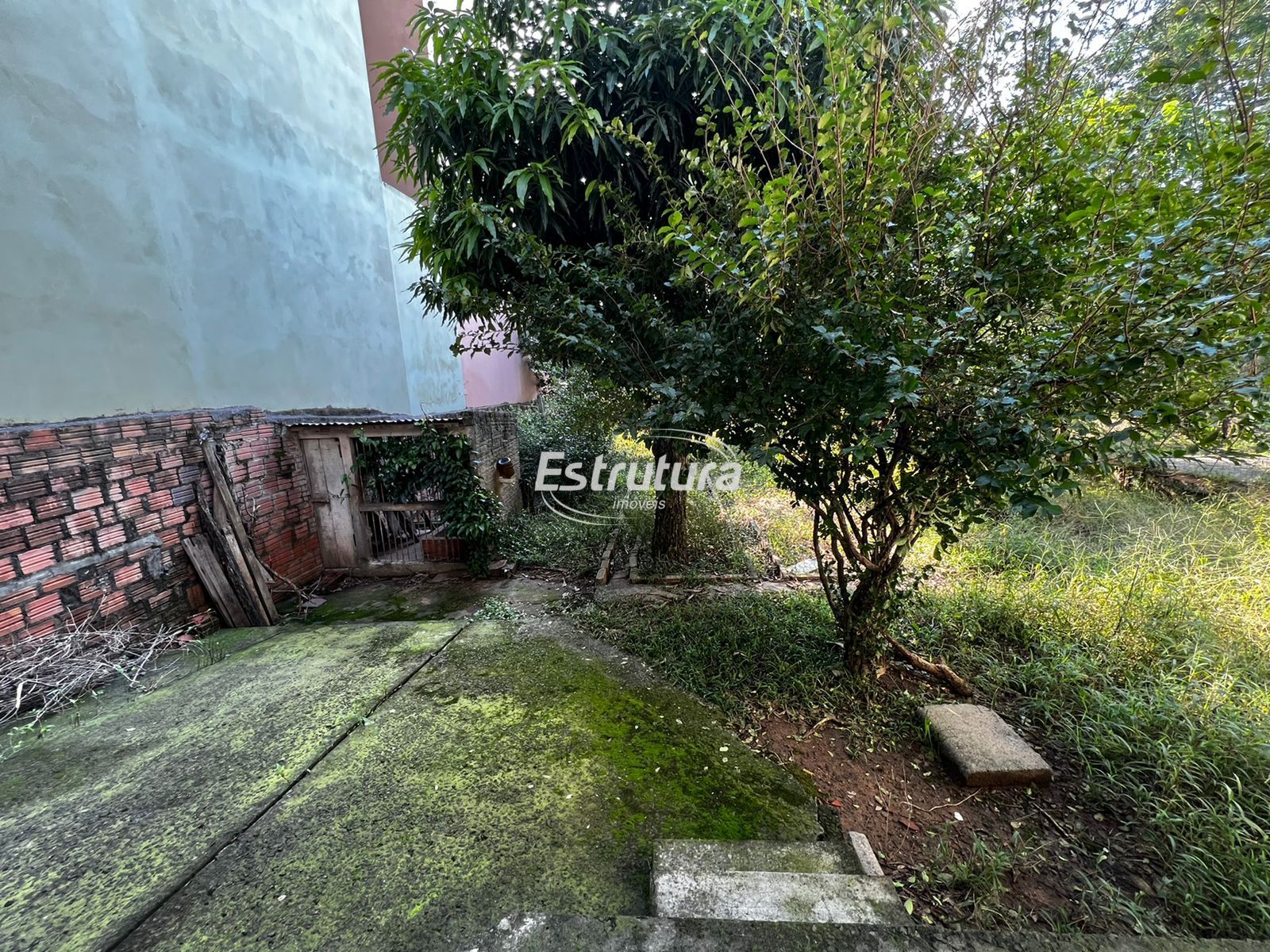 img21409521