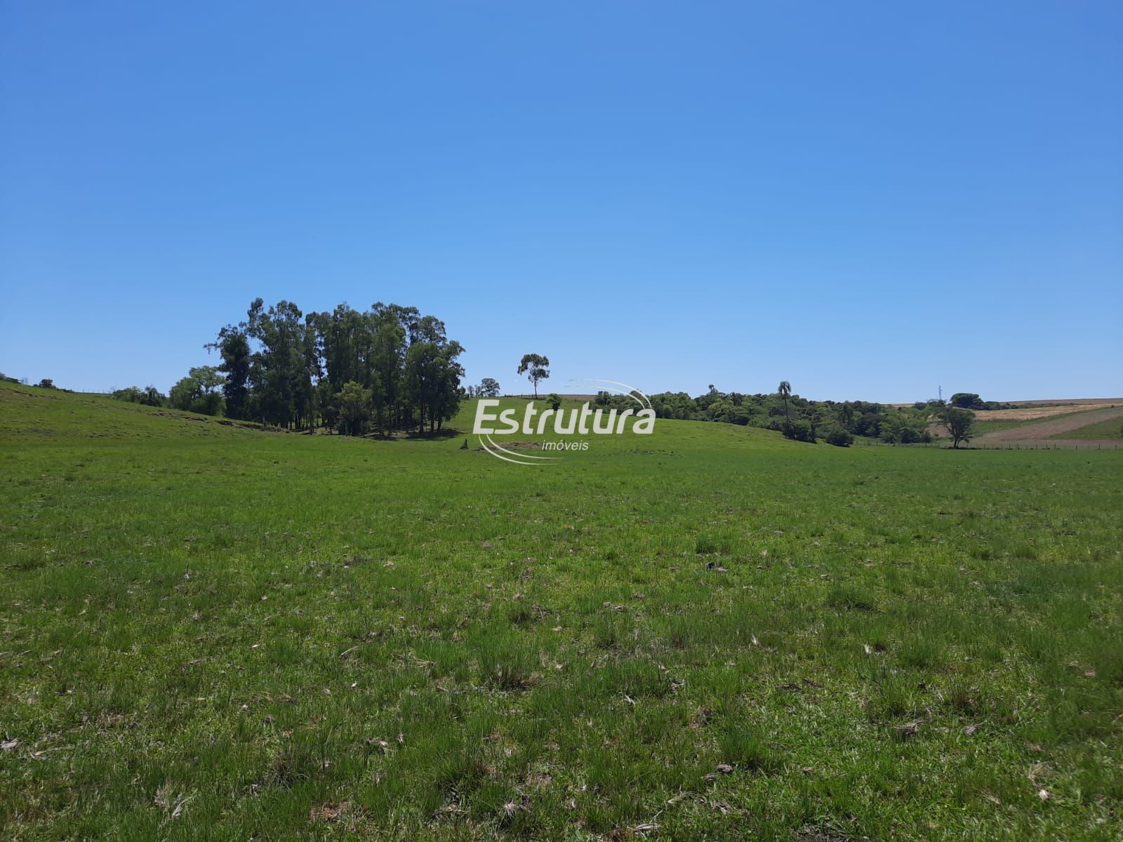Área rural a venda em Santa Maria