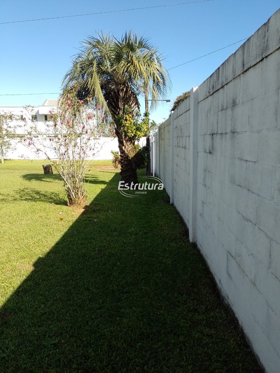 img22936359