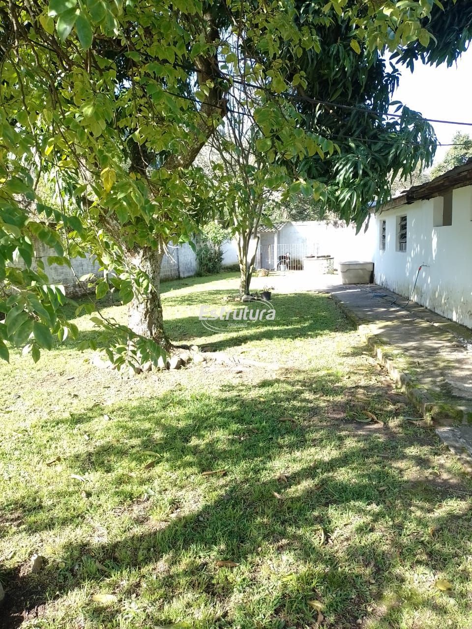 img22936398