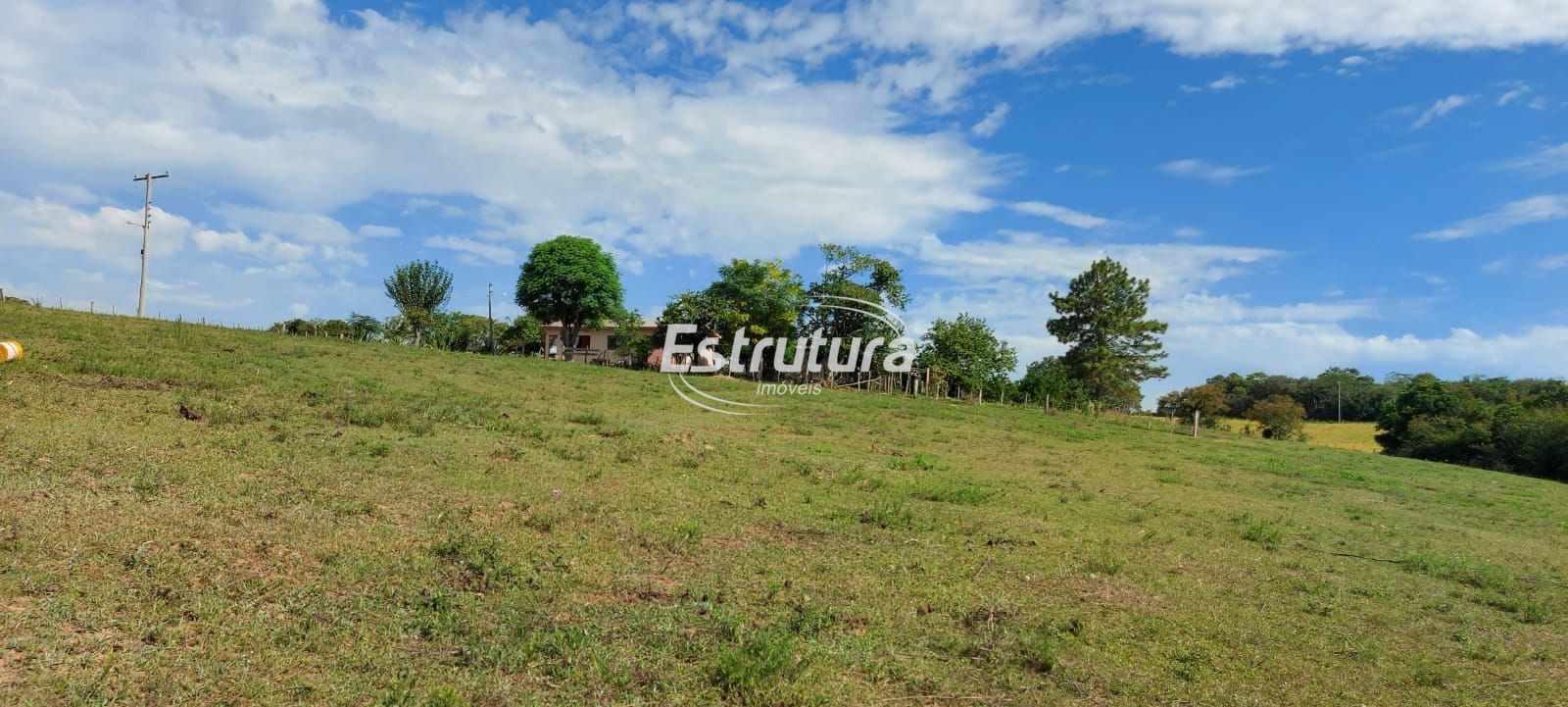 img28408230