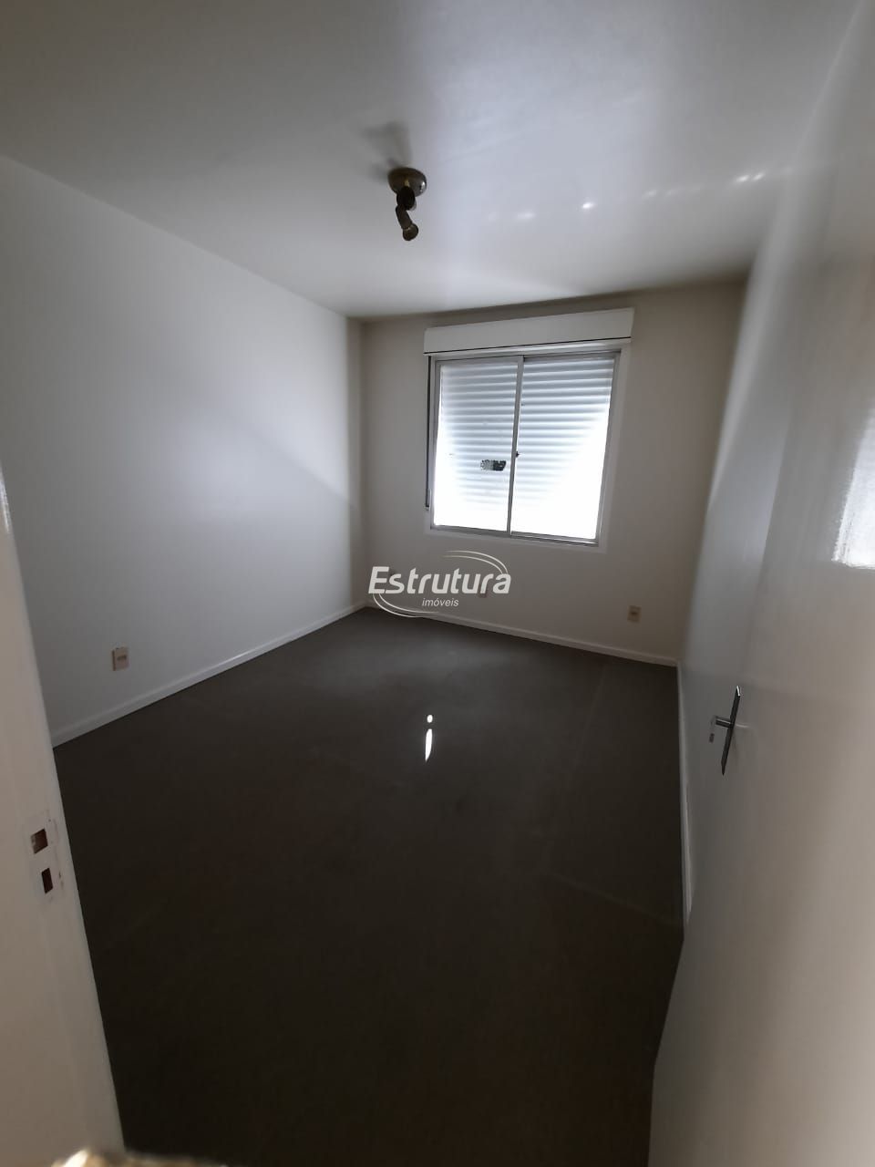 img13216303