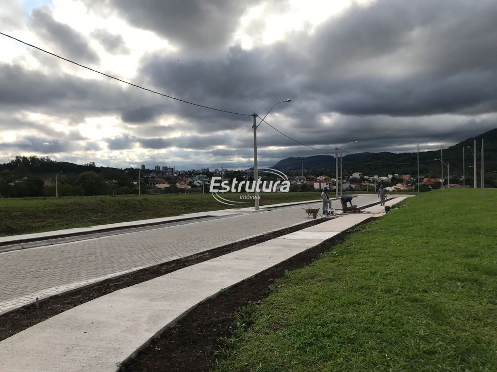 img13655438