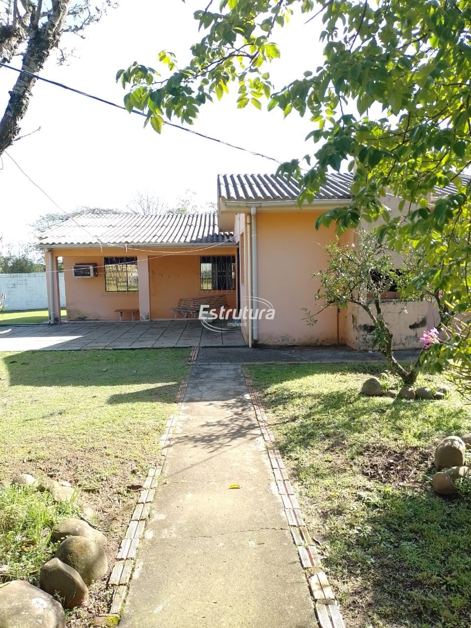 img22936367