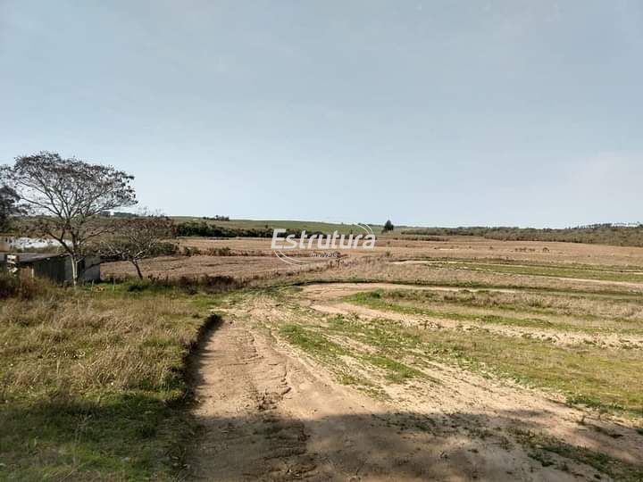 img23372429