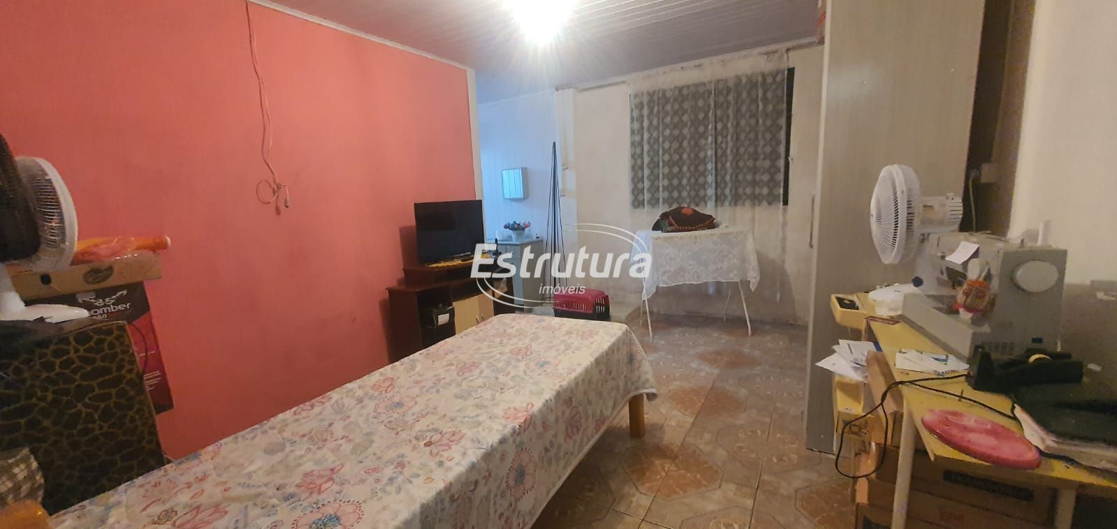 img19494929