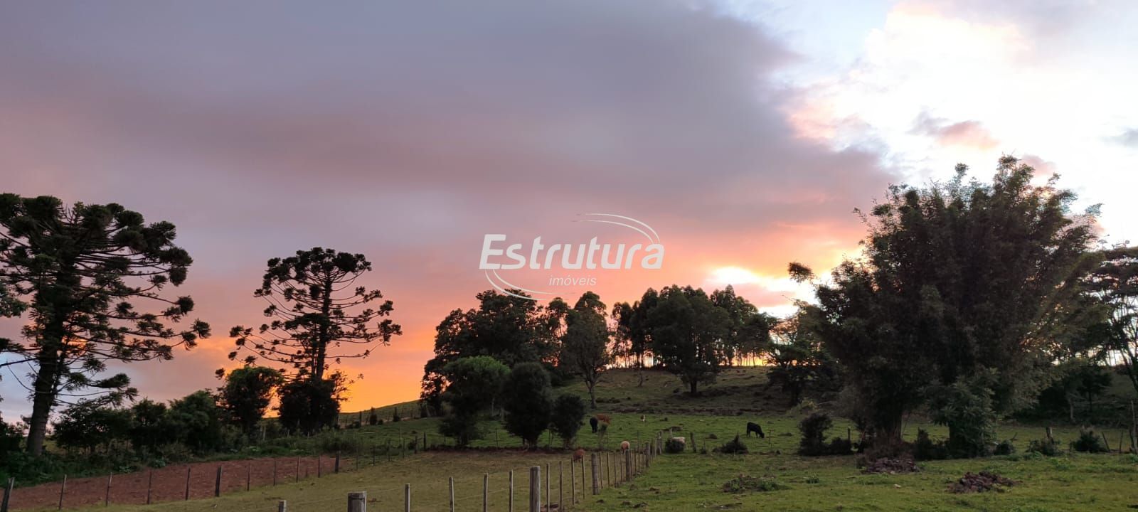 Chácara com açude e casa de madeira — tranquilidade no inter