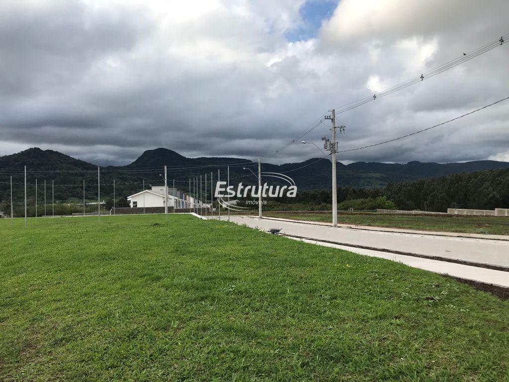 img13655435