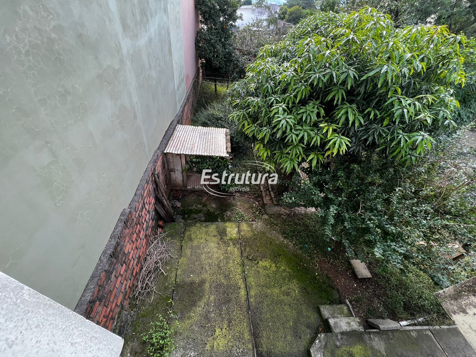 img21409510