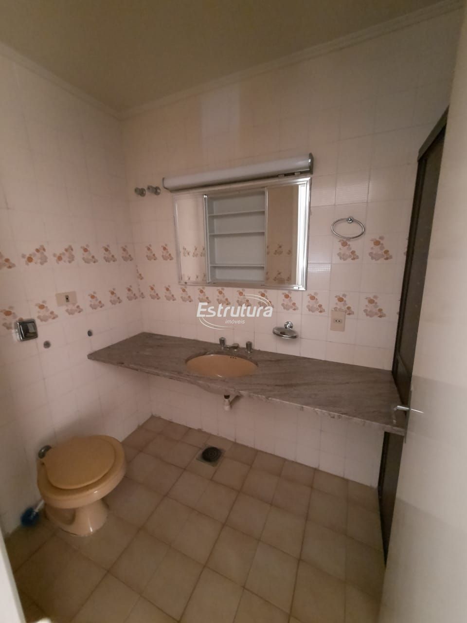 img13216307