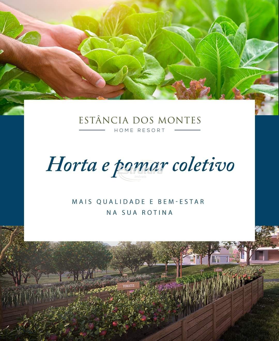 img24638537