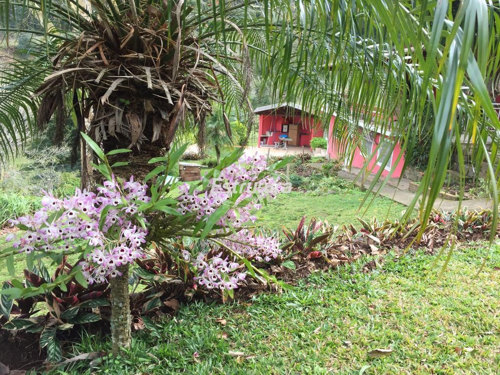 img23897107