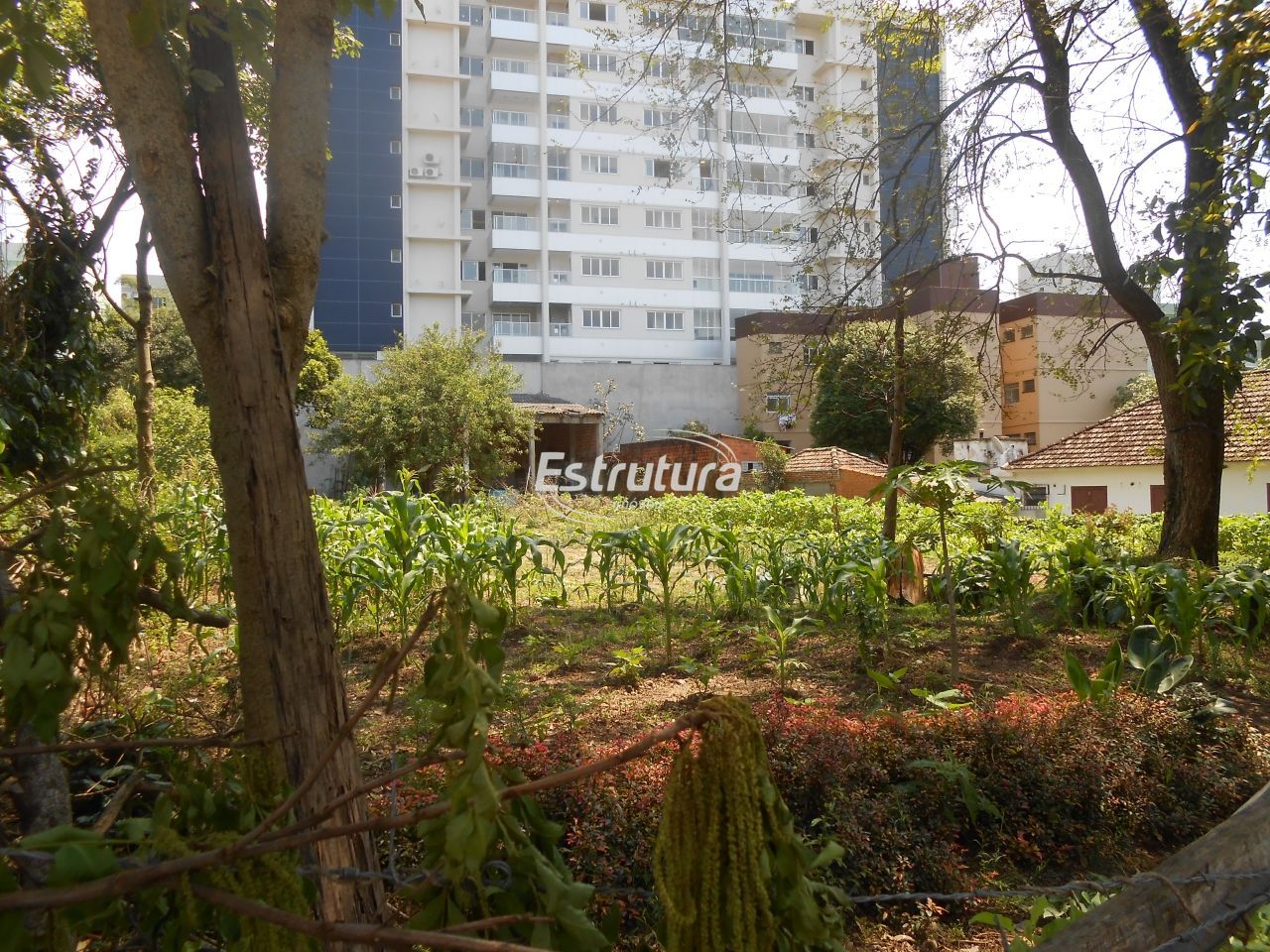 Terreno/Lote à venda  no Menino Jesus - Santa Maria, RS. Imóveis