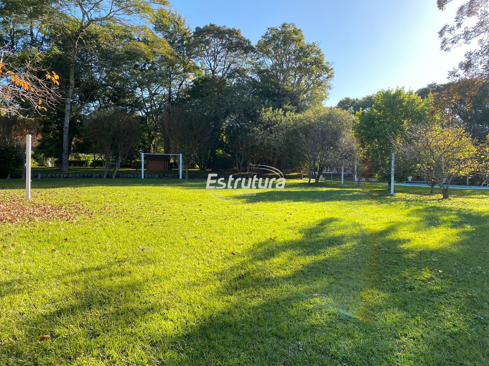 img303687994