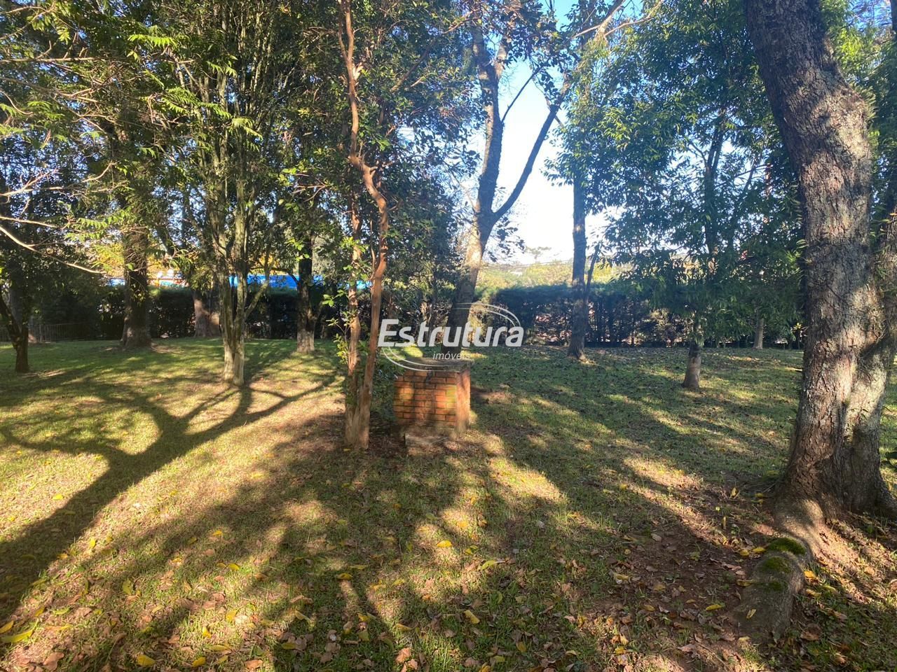 img303688006