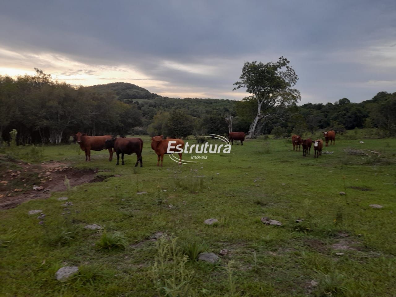 Terreno comercial  venda  no Zona Rural - So Pedro do Sul, RS. Imveis