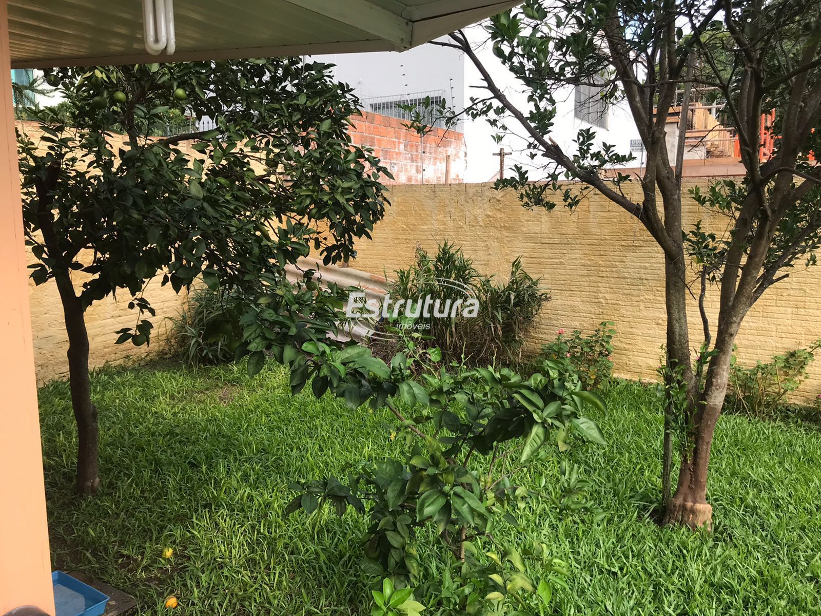 img18859844