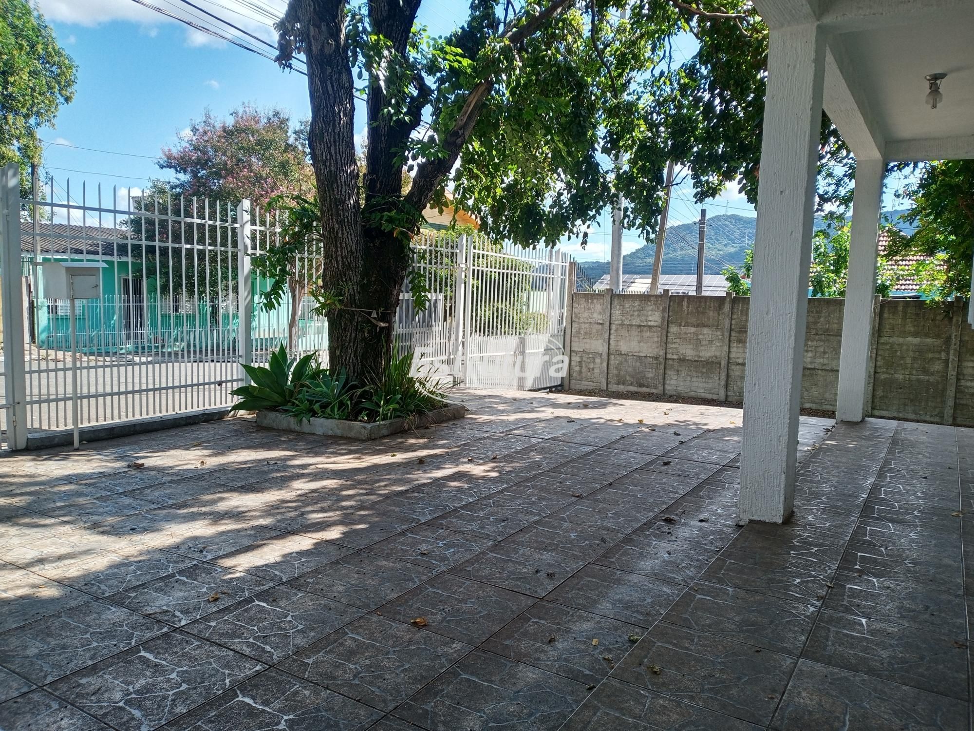 img28176195