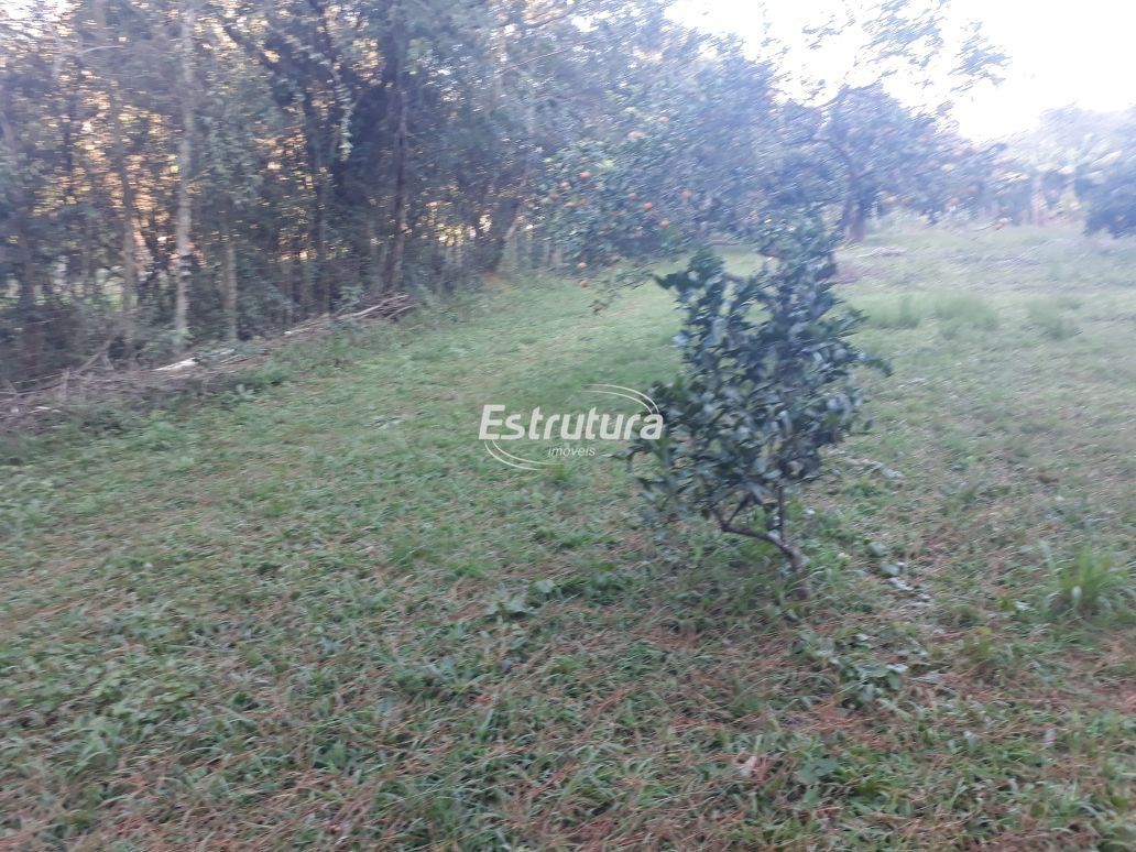 Chácara 3 dormitórios à venda São José Santa Maria/RS