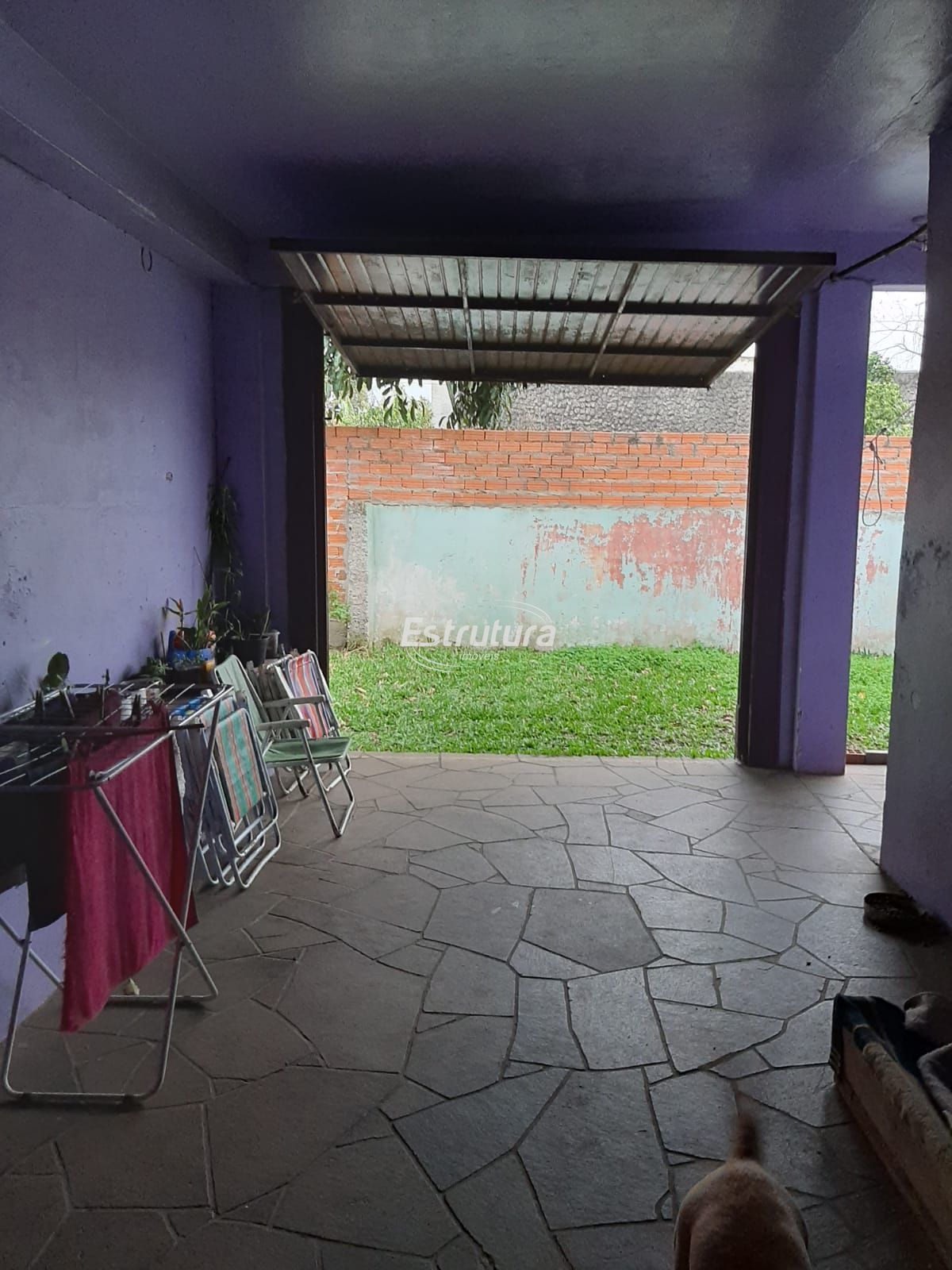 img31881252