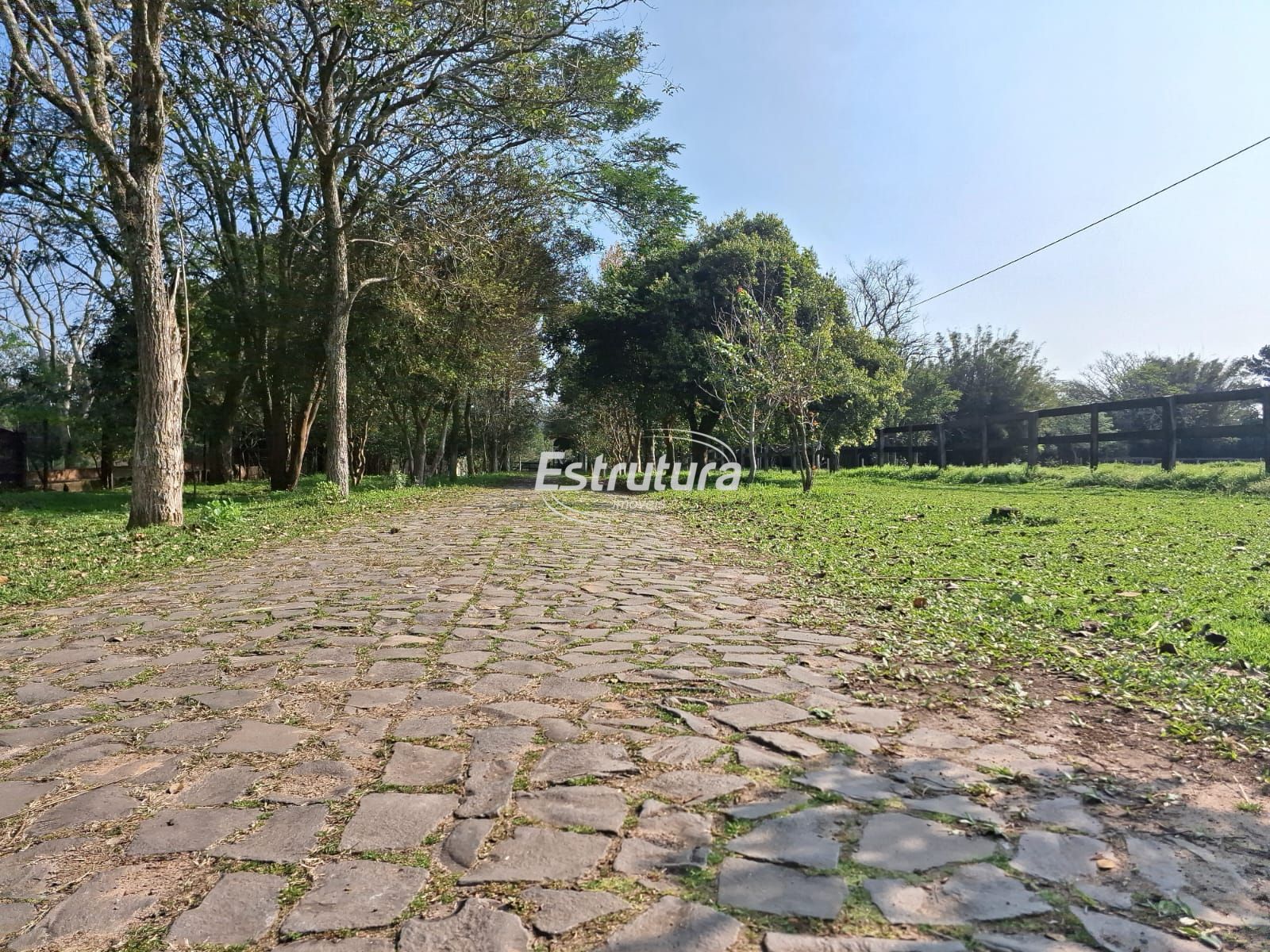 img53396309