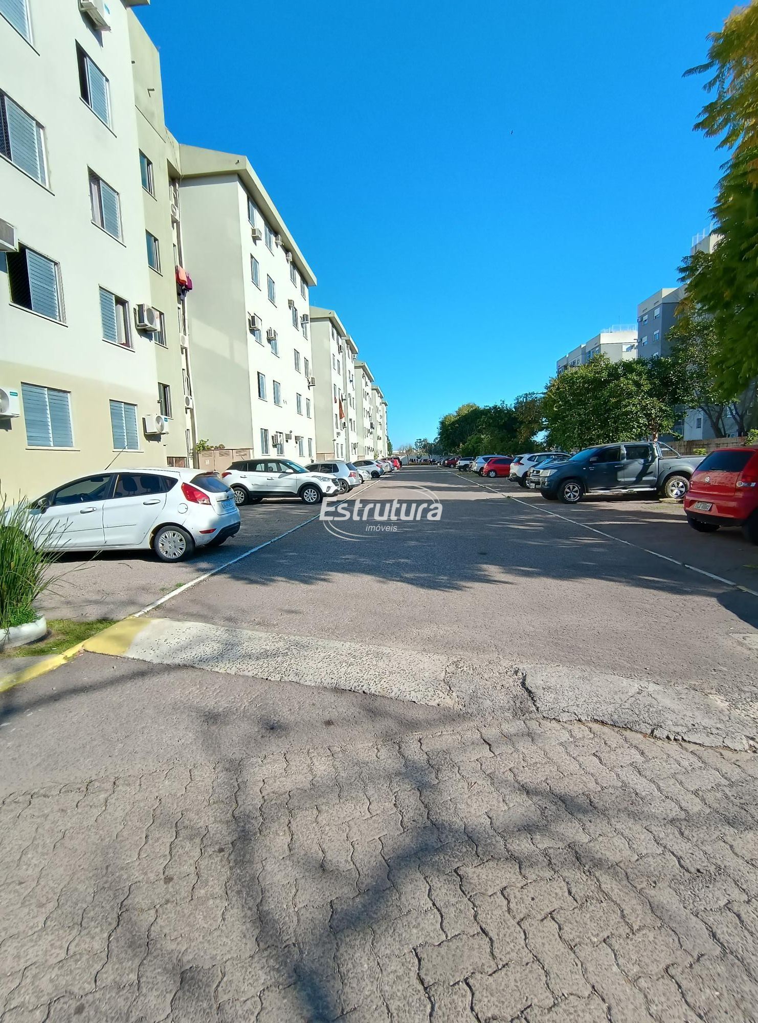 img266195917