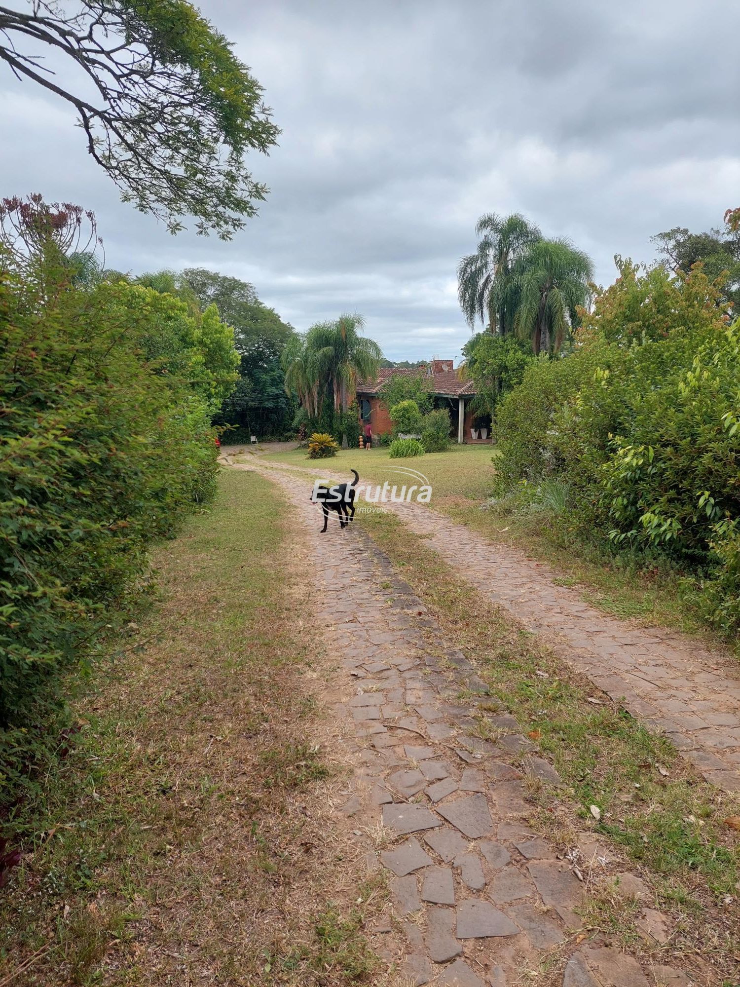 img71036576