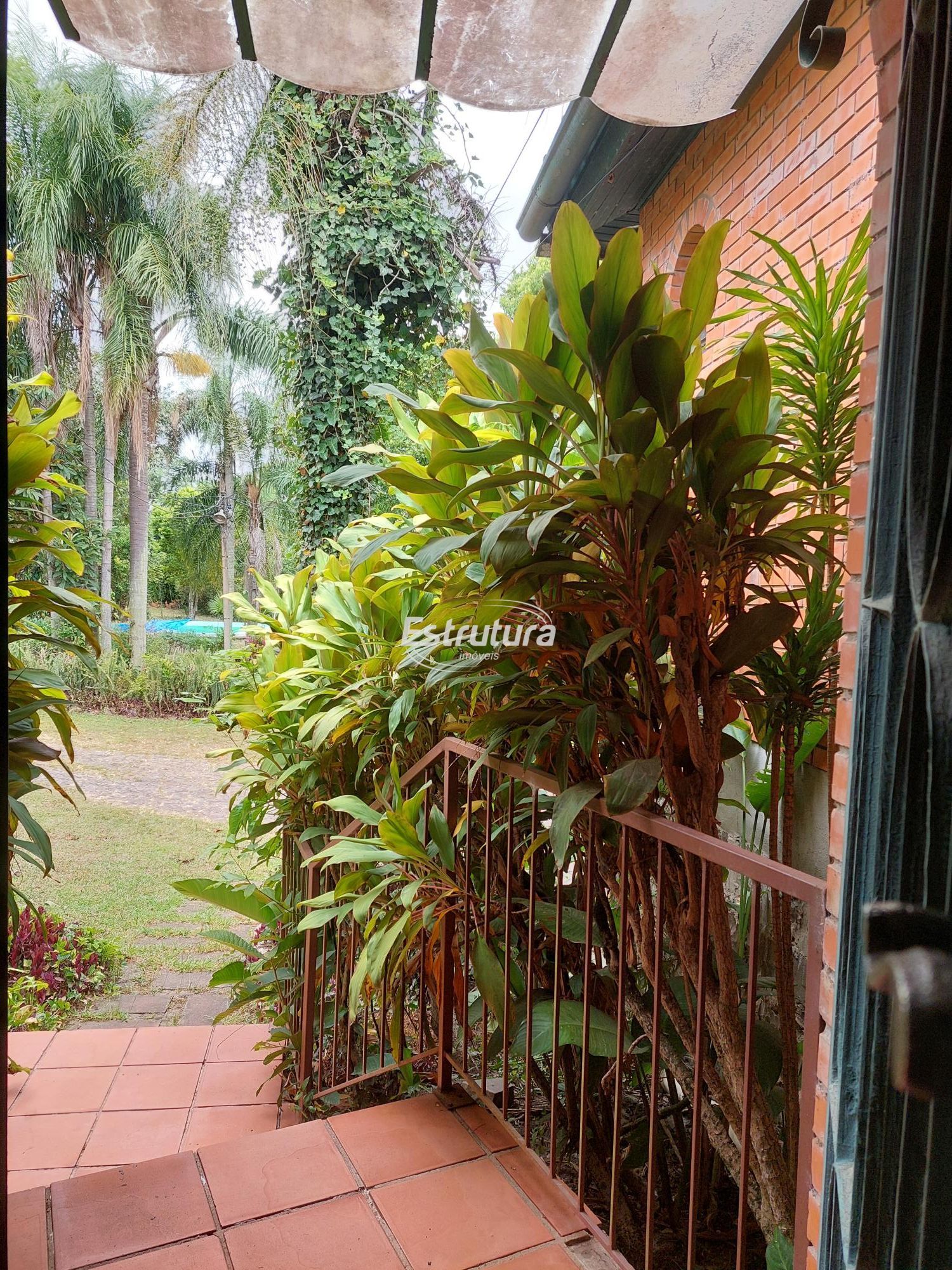 img71036960