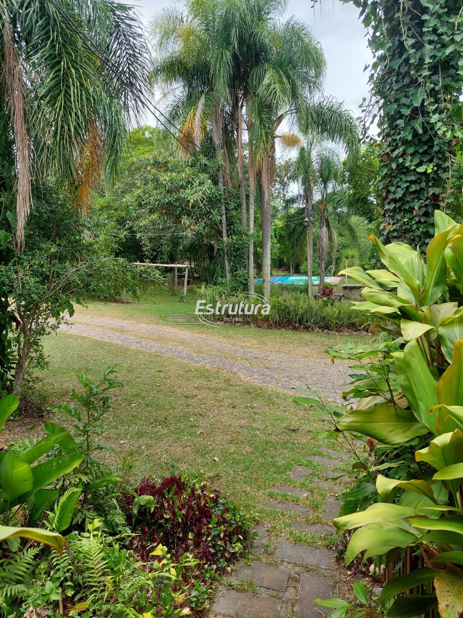 img71036965