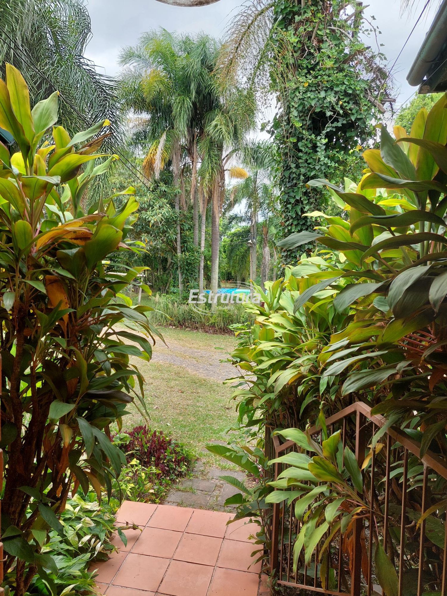 img71036964