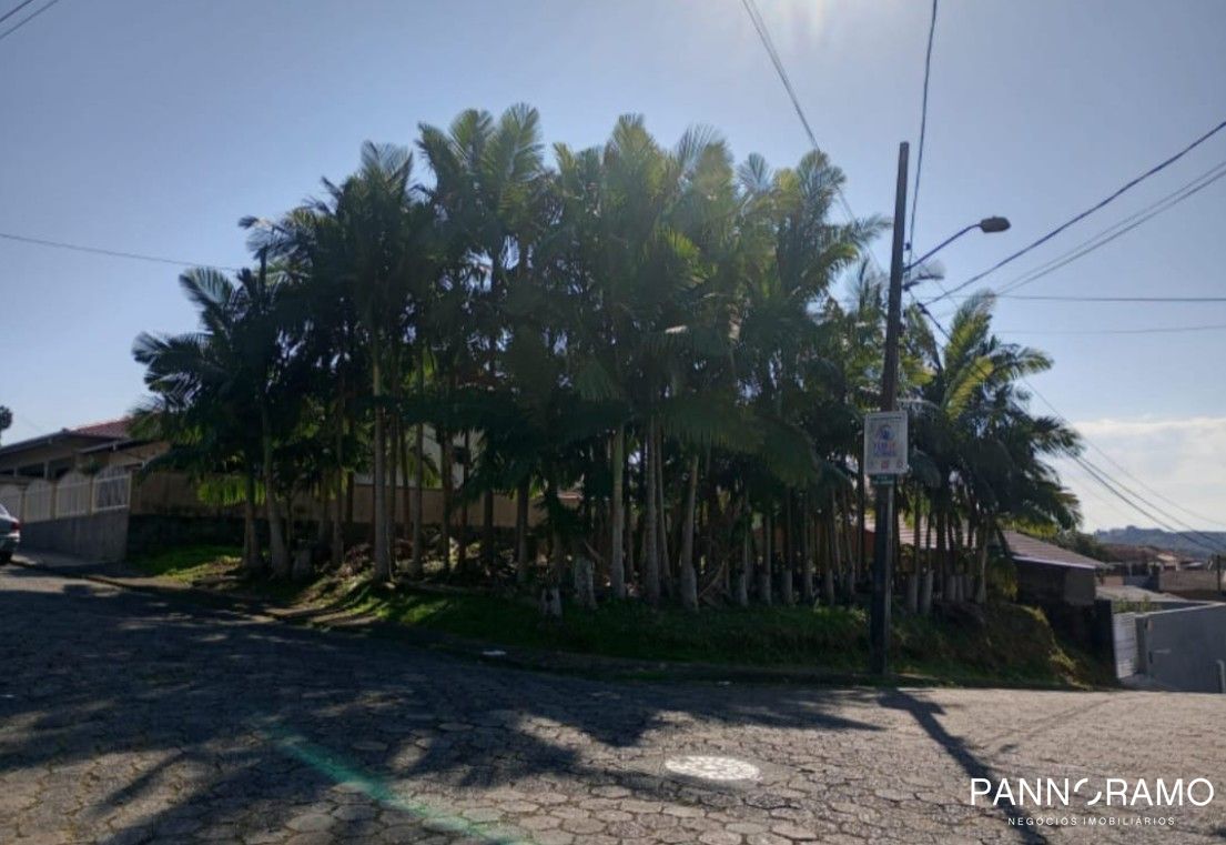 Terreno, 300 m² - Foto 2