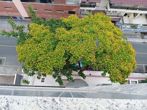 Apartamento, 2 quartos, 89 m² - Foto 17