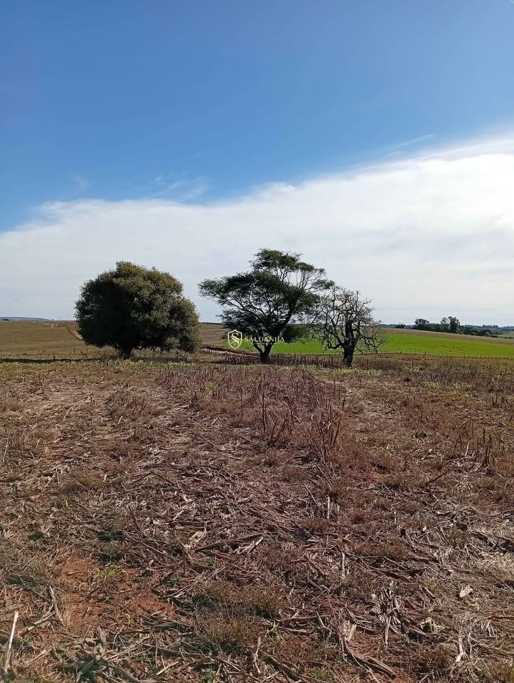 Excelente área de campo com 28,1 hectares no parové em alegr