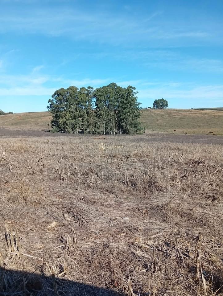 Excelente área de campo com 28,1 hectares no parové em alegr