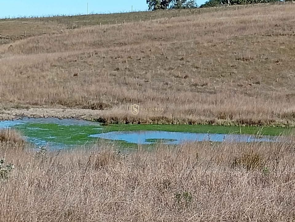 Excelente área de campo com 28,1 hectares no parové em alegr
