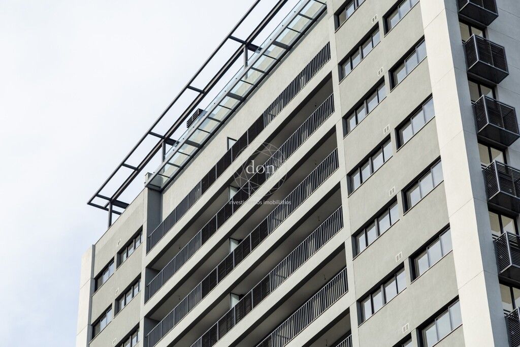 517455.jpg