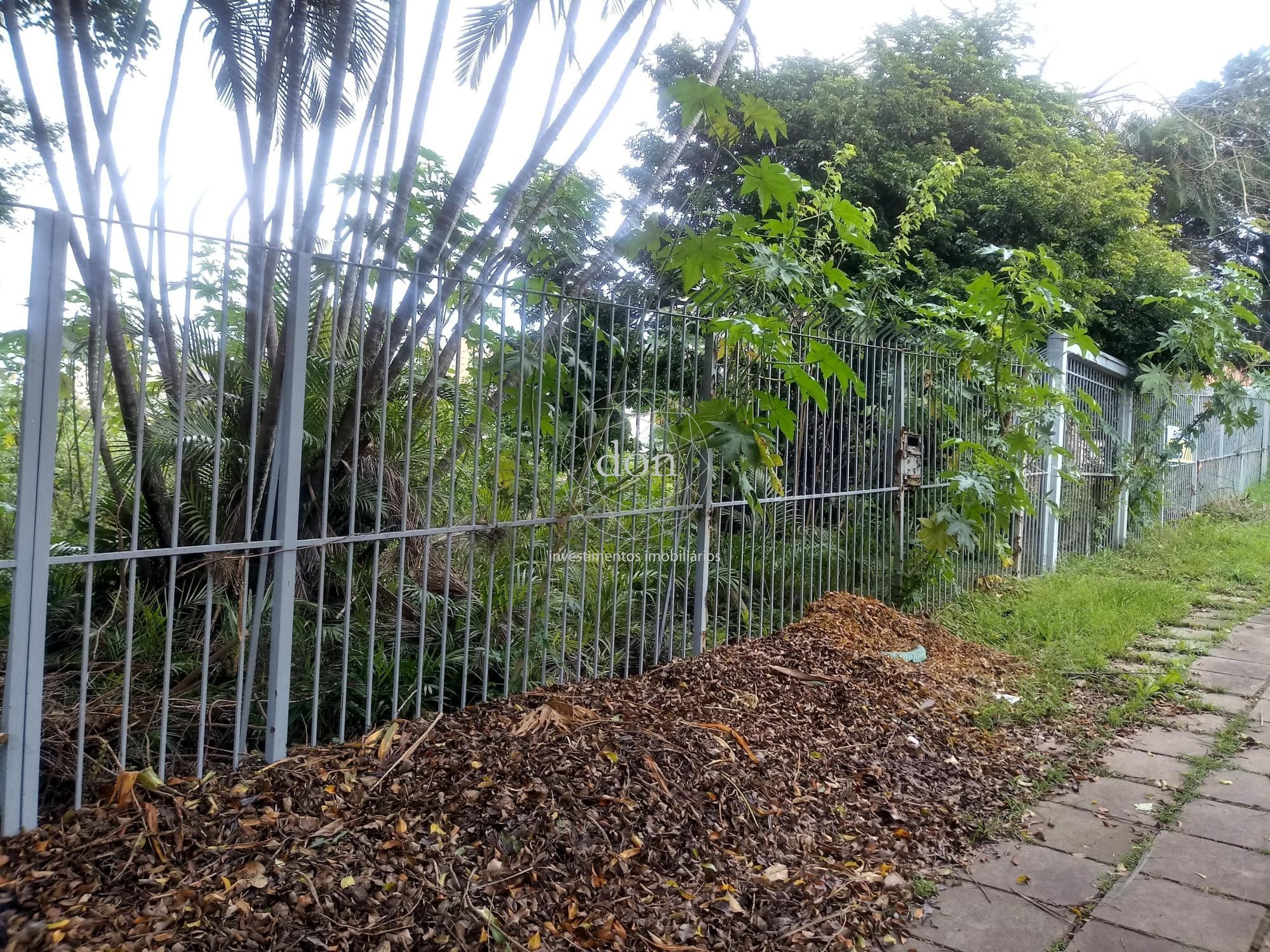 Terreno à venda, Três Figueiras - Porto Alegre