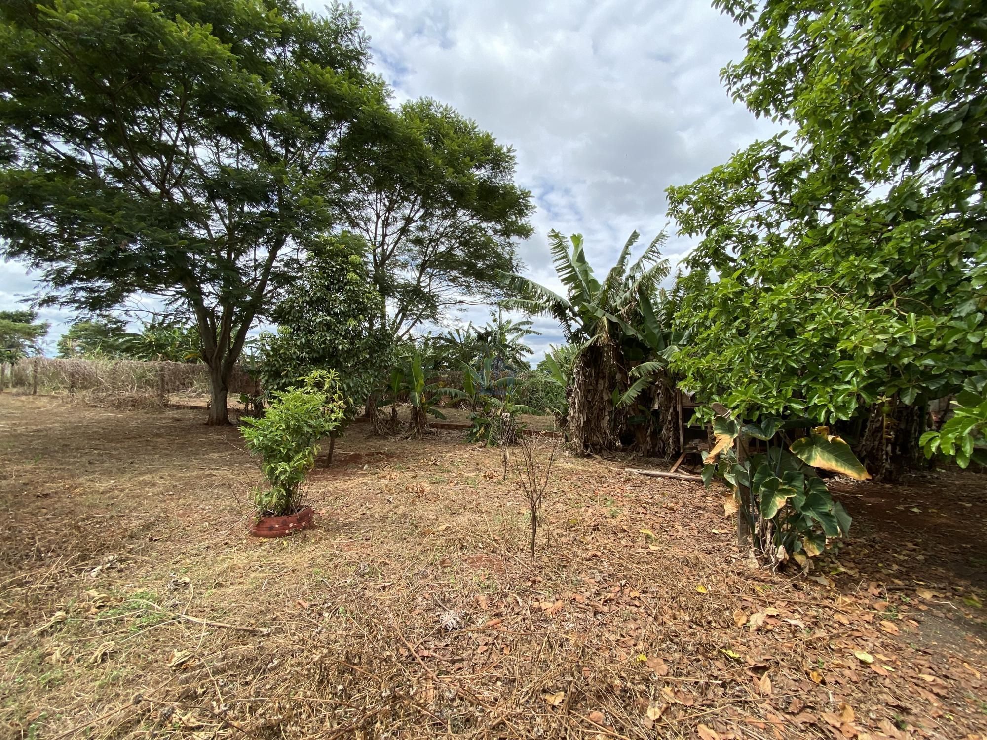 Fazenda à venda com 2 quartos, 100m² - Foto 9