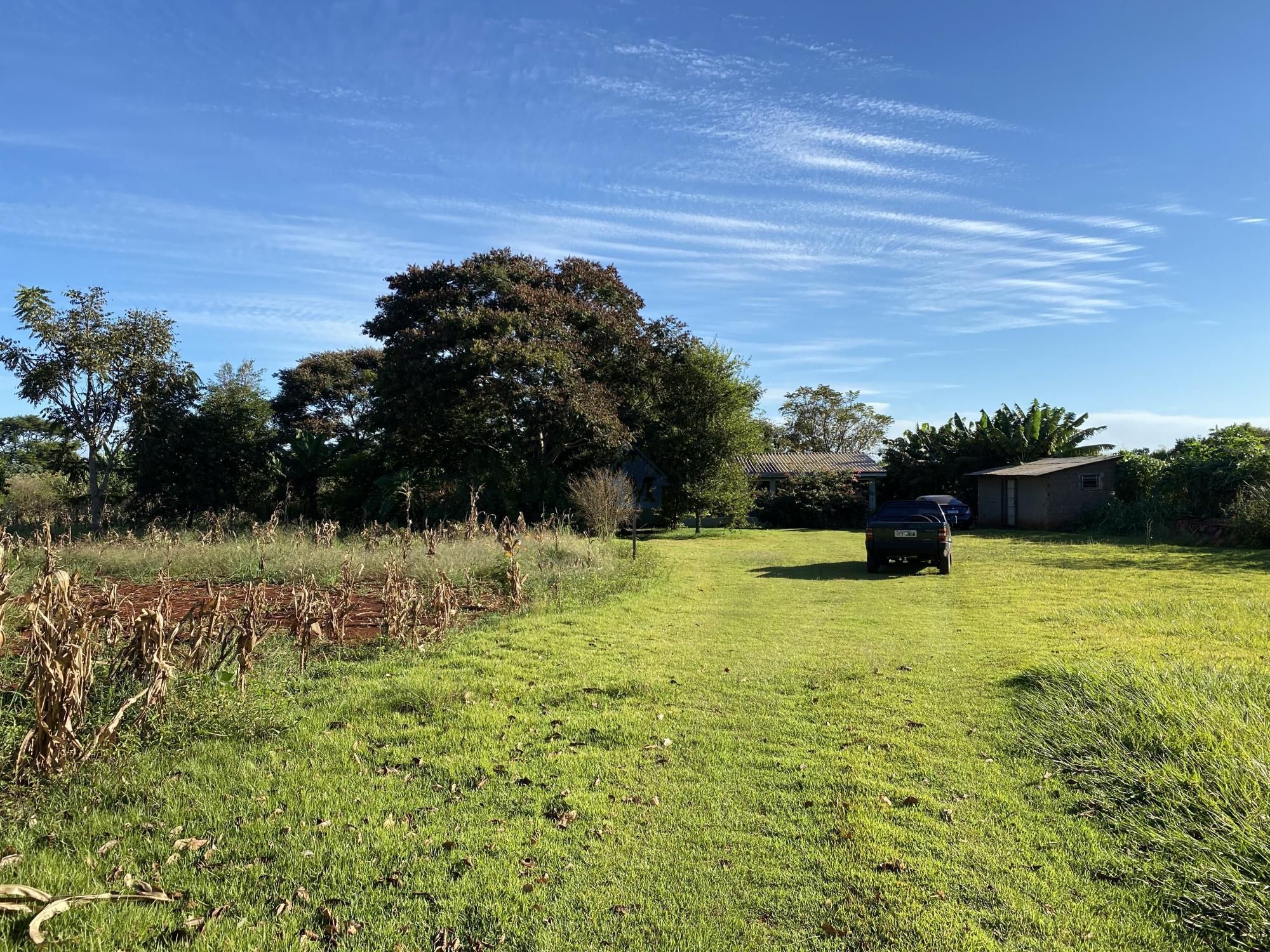 Fazenda à venda com 2 quartos, 100m² - Foto 26