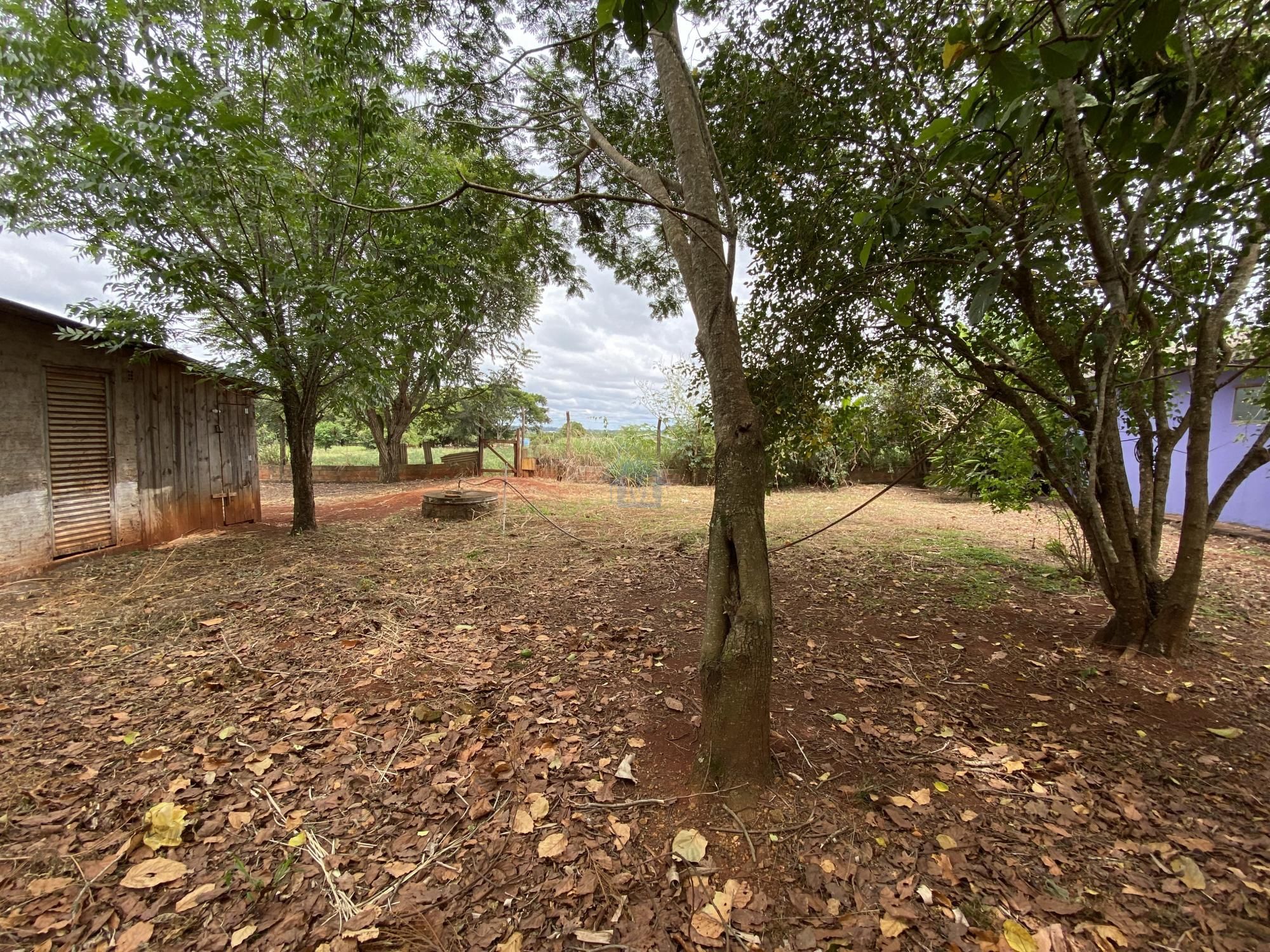 Fazenda à venda com 2 quartos, 100m² - Foto 10