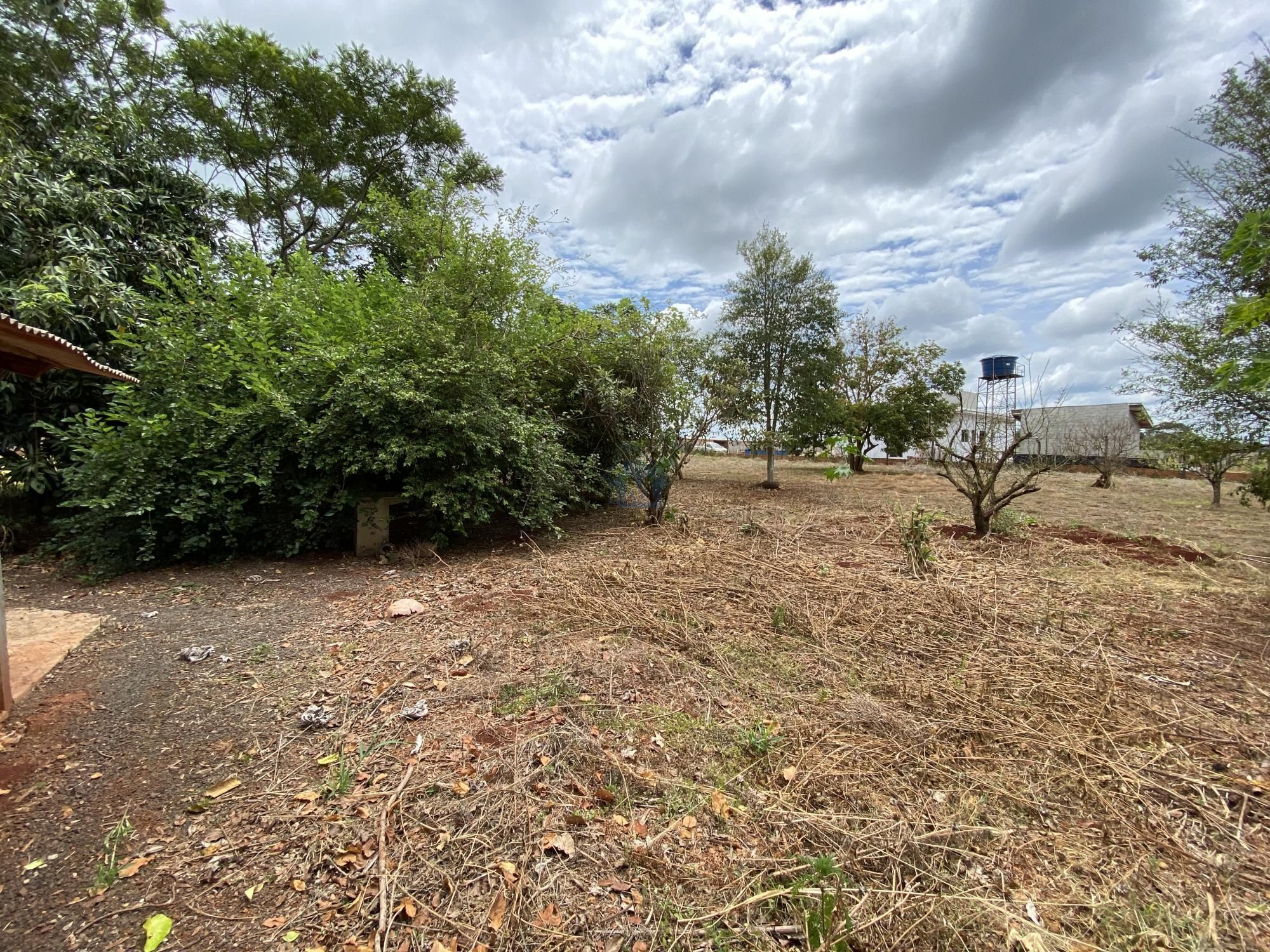 Fazenda à venda com 2 quartos, 100m² - Foto 8