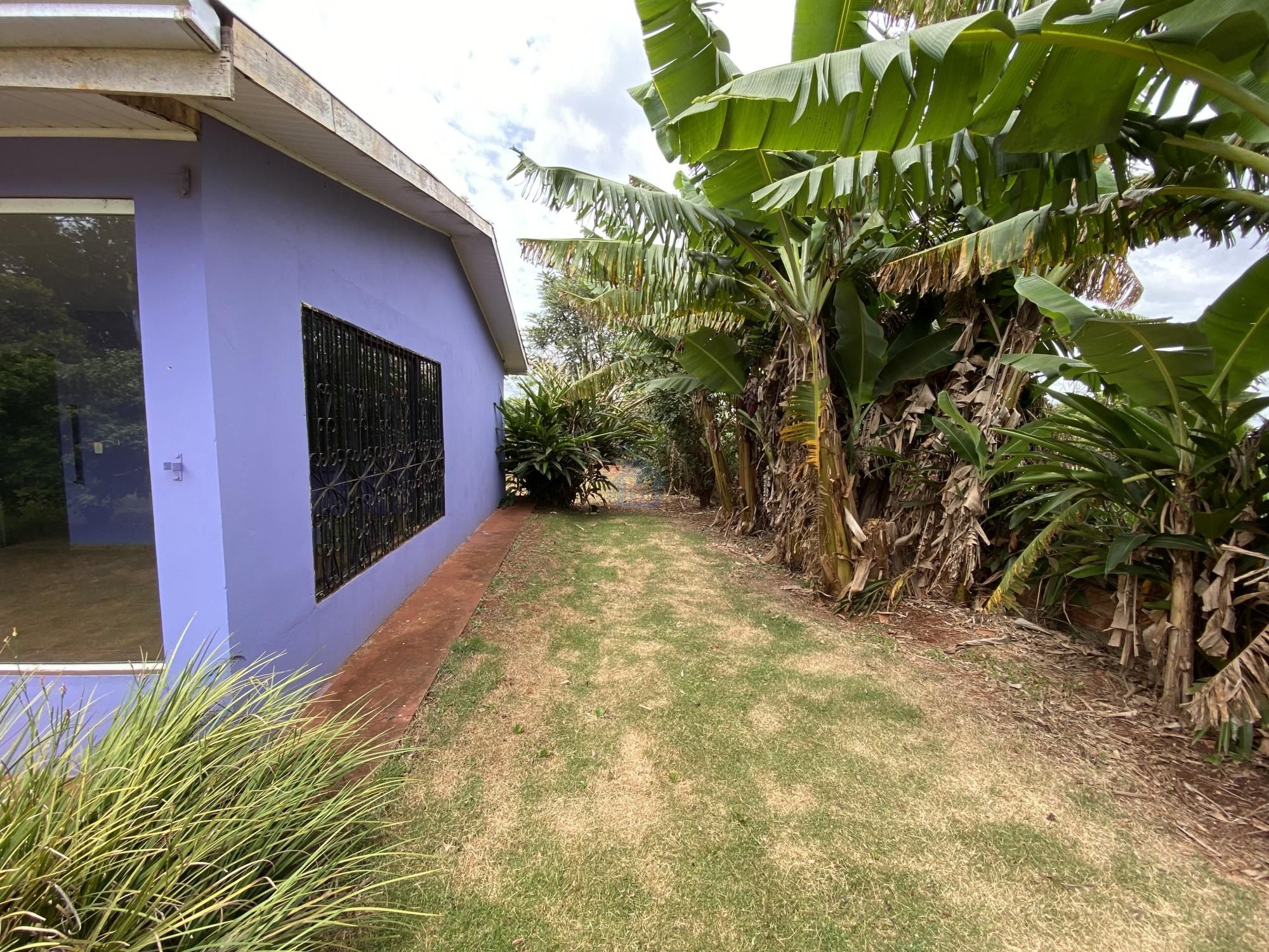 Fazenda à venda com 2 quartos, 100m² - Foto 5